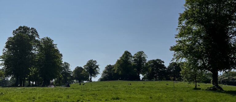 Week 19. 2023